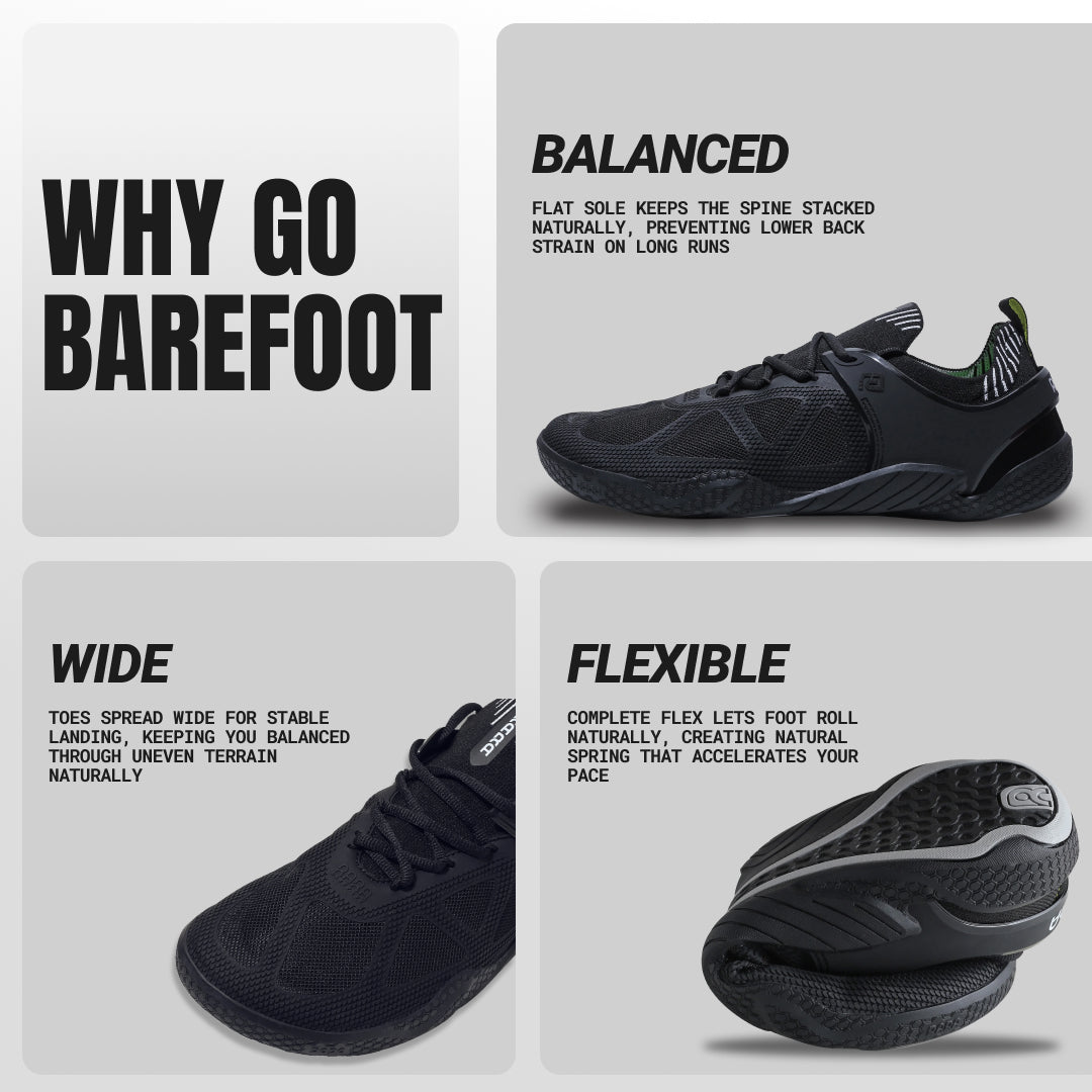 XANADU BLACK