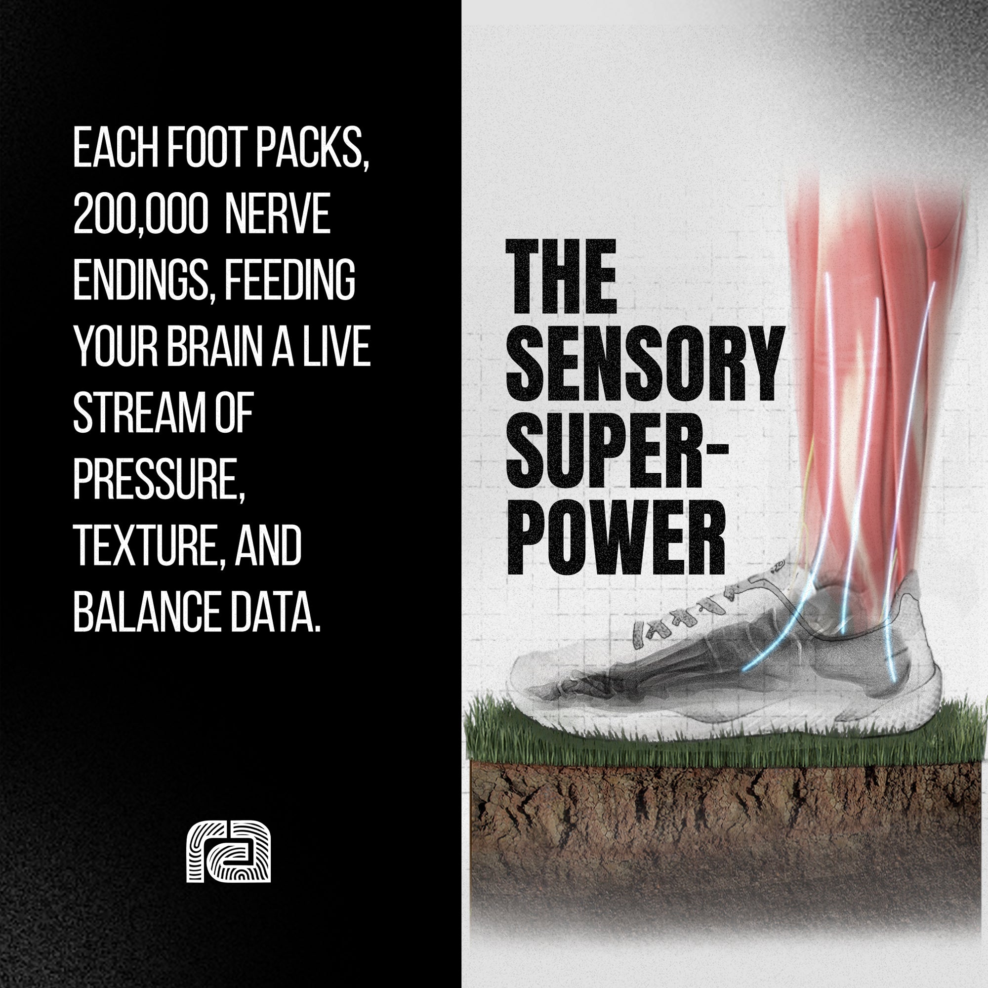 Daily Use of Minimal Barefoot Footwear Leads to a 57% Increase in Foot Muscle Strength