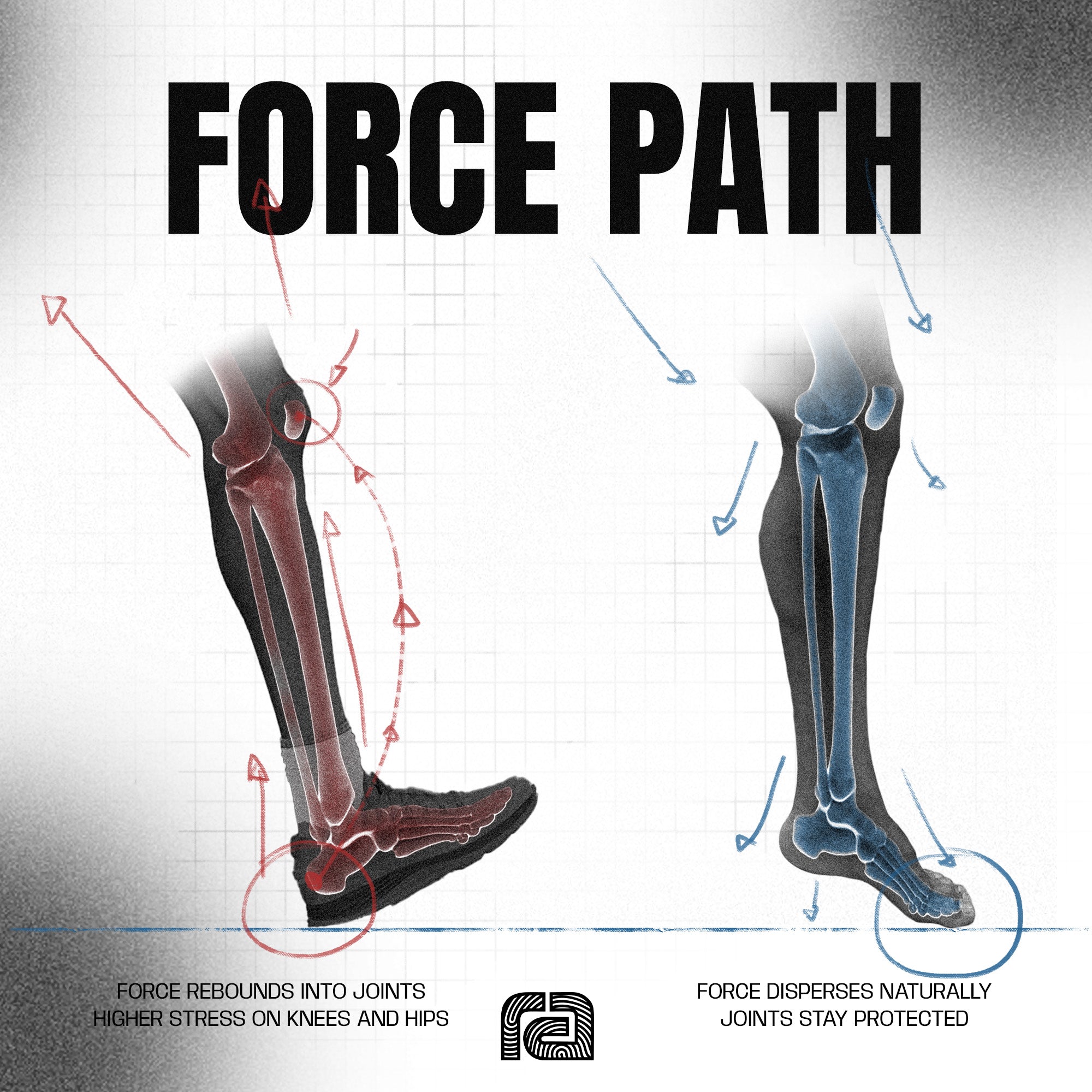 Less Shoe, More Go: The Surprising Science Behind Running Economy